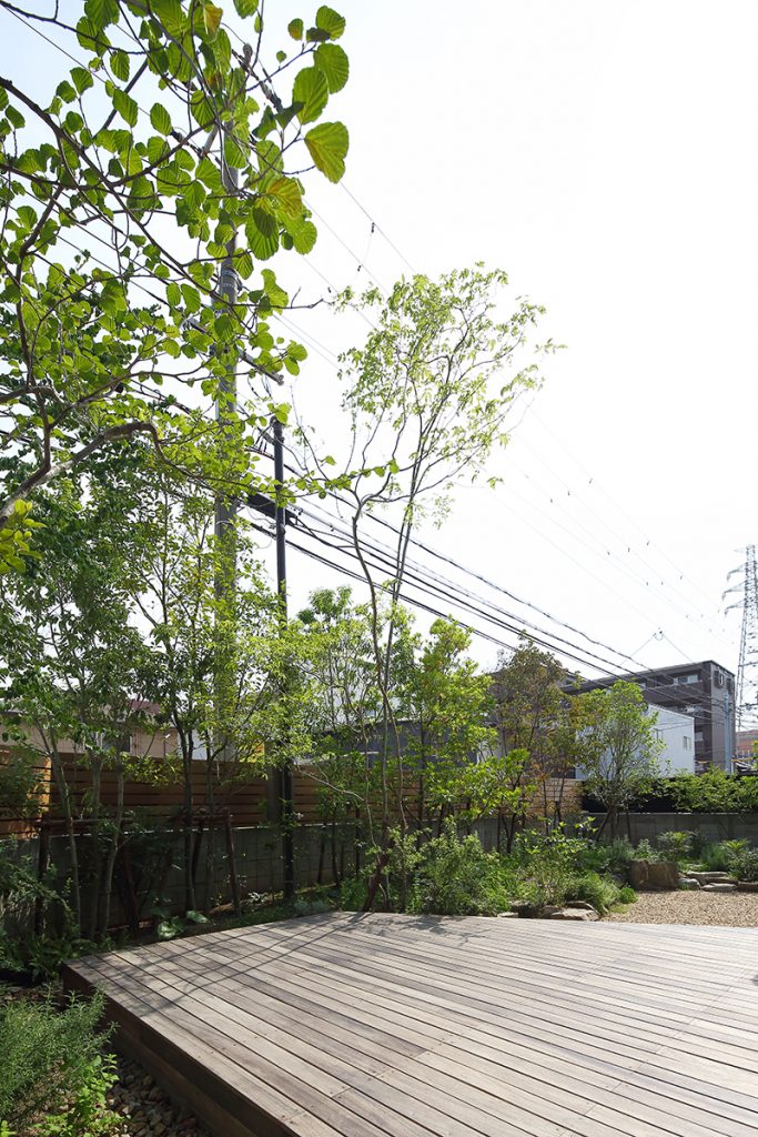 ソフトなバリアの常緑の庭/A邸（大阪府堺市）